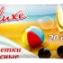 Продажа оптом. Влажные салфетки Deluxe (100шт) Арт.: RVSD-00
