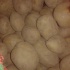 Картошка оптом Алматы и регионы доставка.
