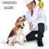 Ветеринарная скорая помощь ZooHelp