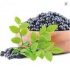 Aronia berry extract