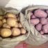 Картофель домашний