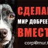 Питомцам помощь